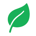 Plant-removebg-preview