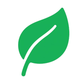 Plant-removebg-preview Plant-removebg-preview